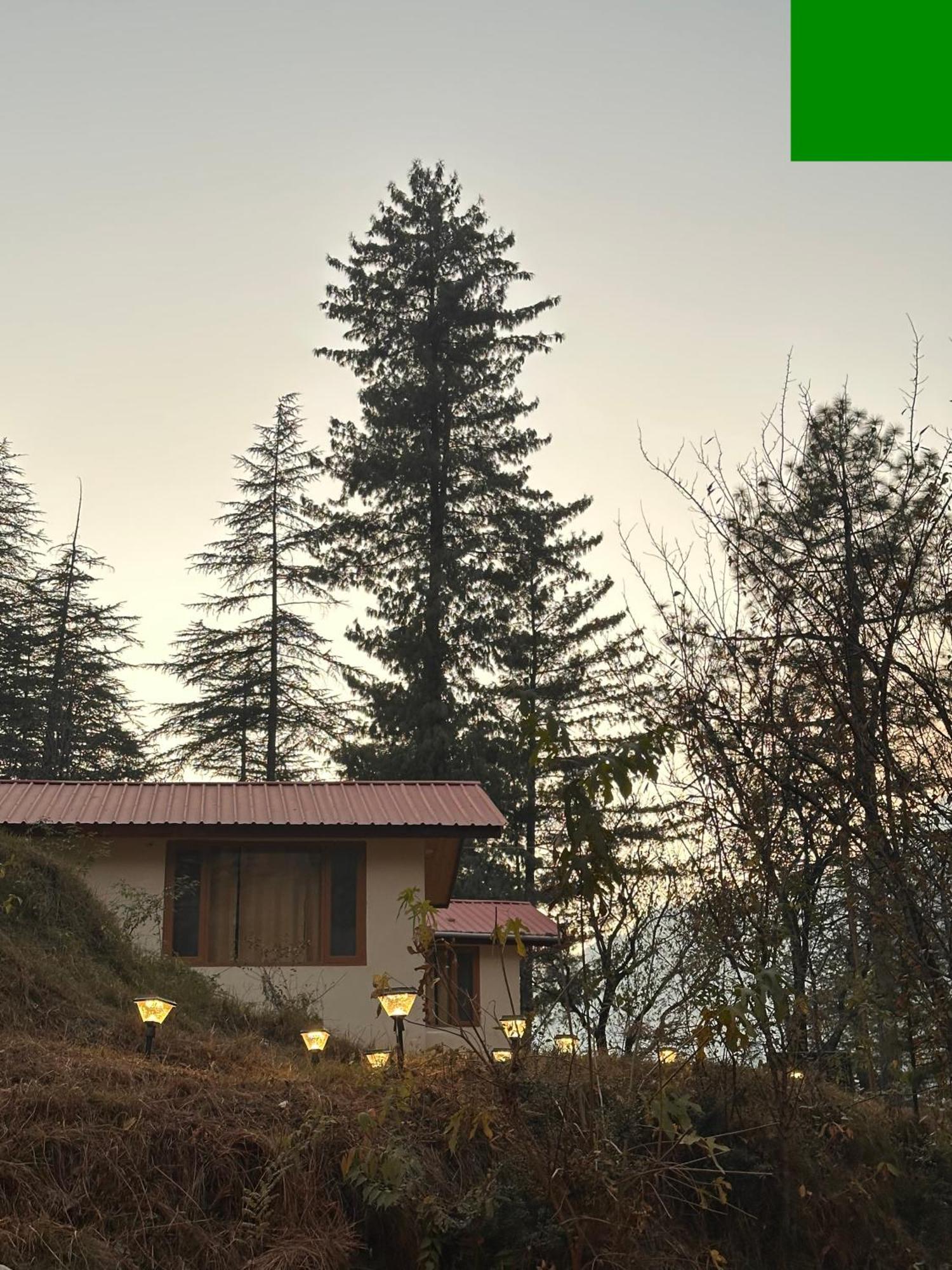 Ahava Kasol Riverside Cafe And Cottages מראה חיצוני תמונה