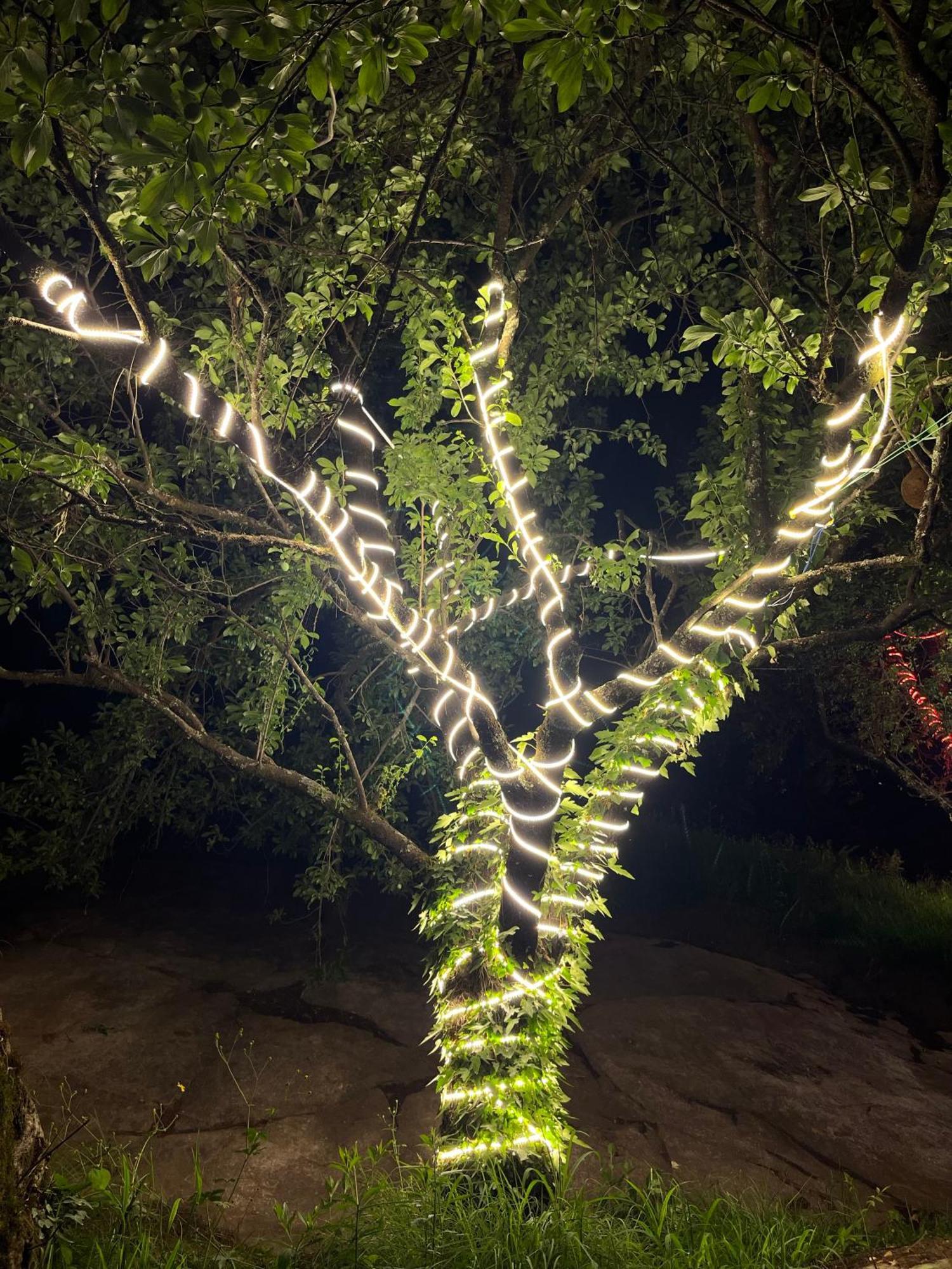 Ahava Kasol Riverside Cafe And Cottages מראה חיצוני תמונה